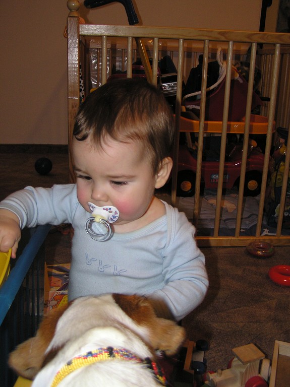 img00013.jpg