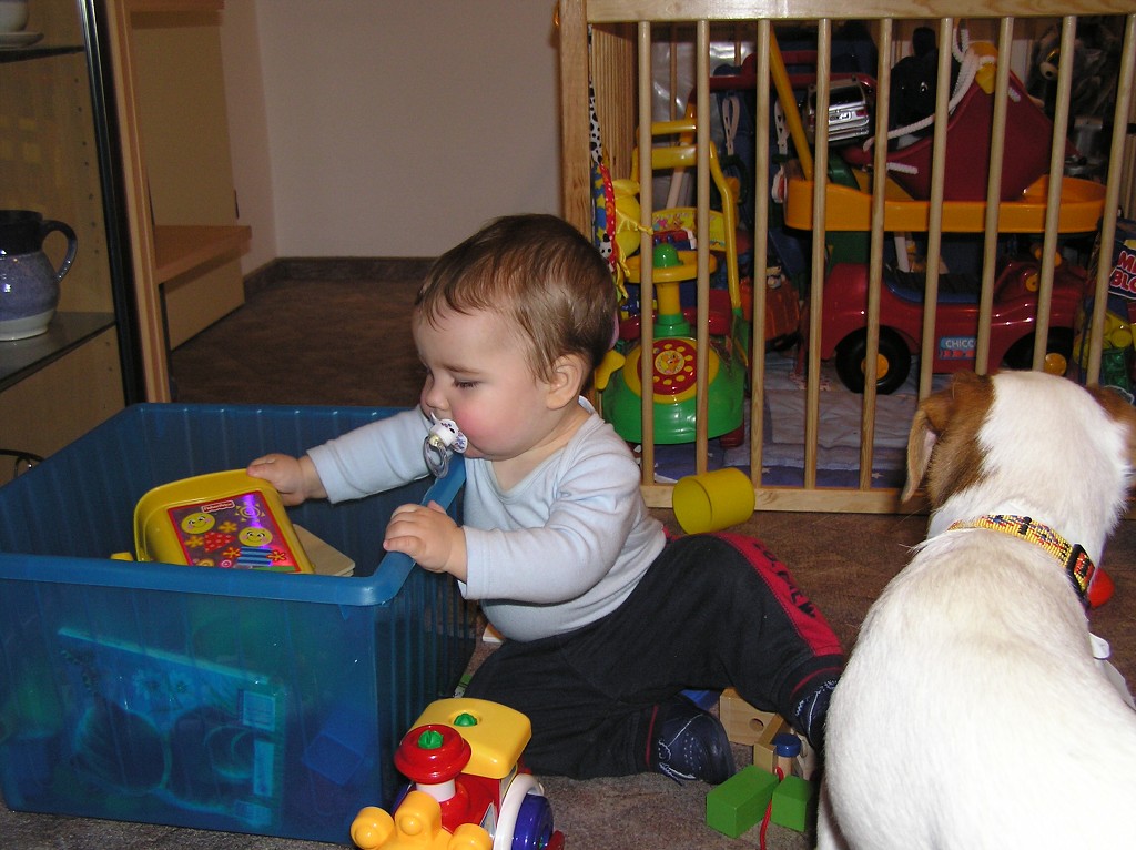 img00014.jpg