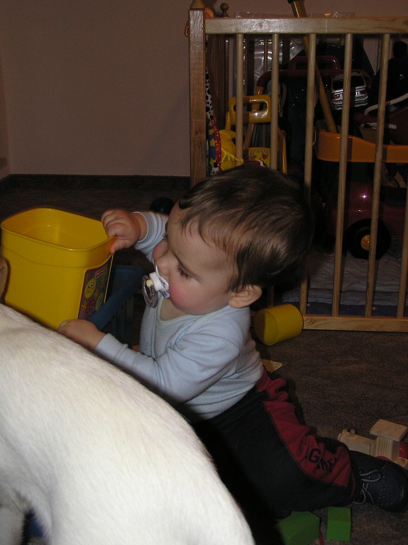 img00015.jpg