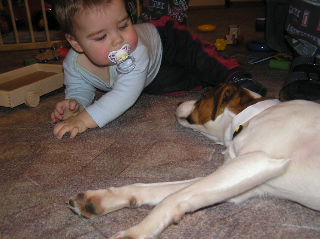 img00020.jpg