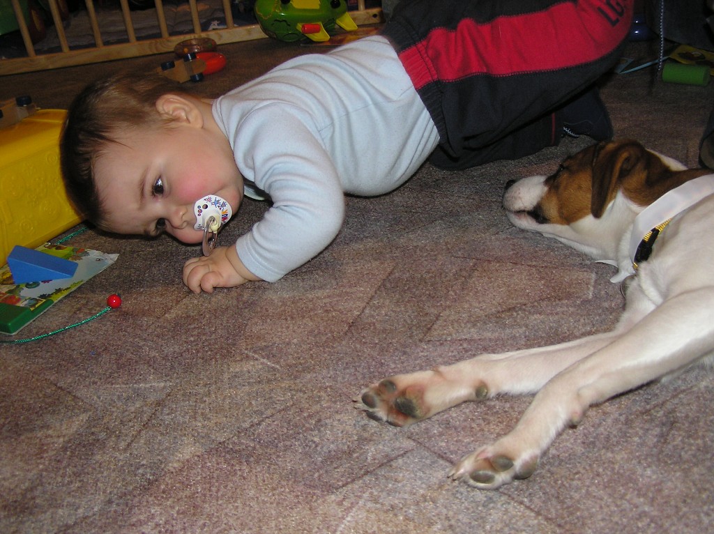 img00021.jpg