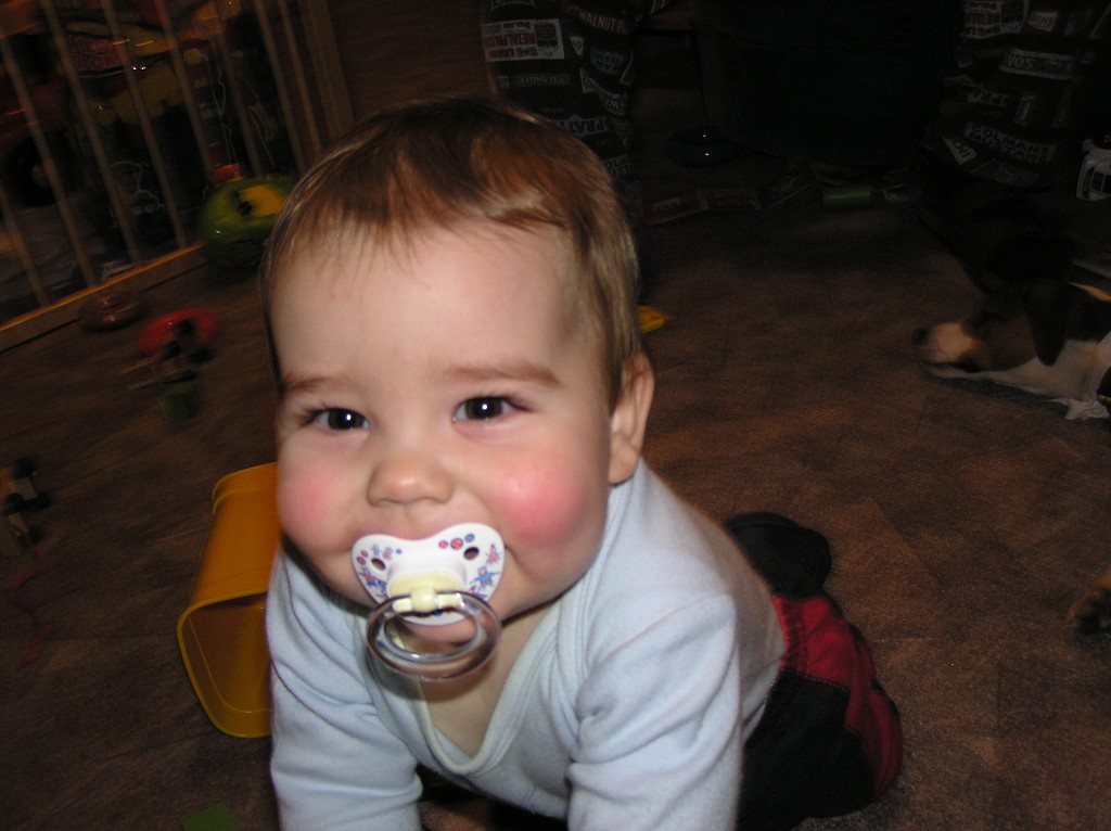 img00022.jpg