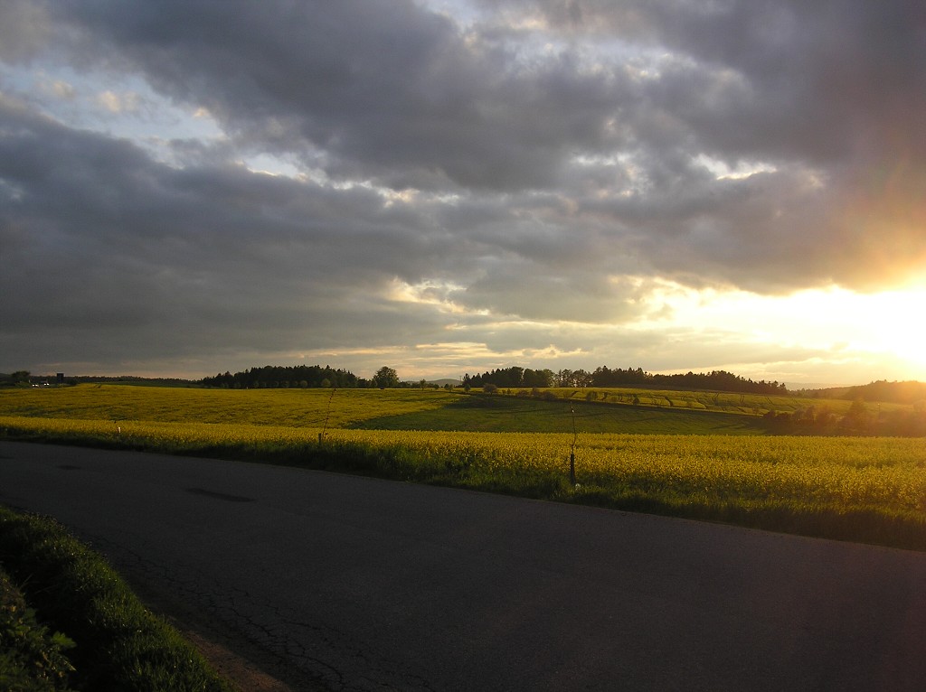 img00029.jpg