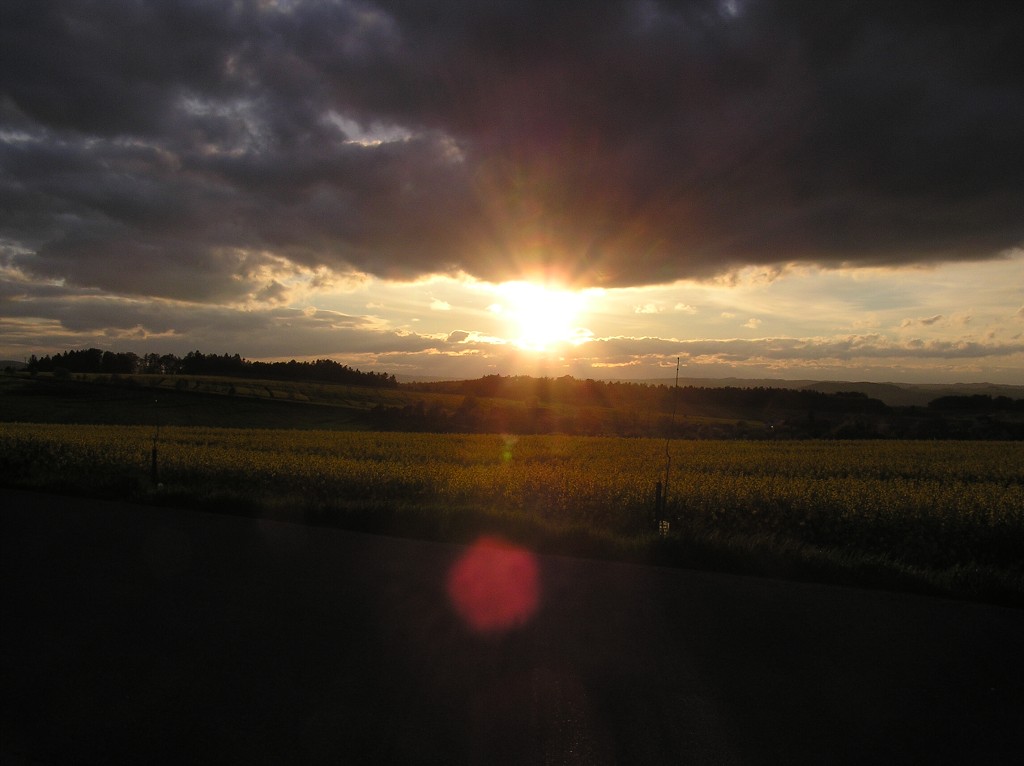 img00030.jpg