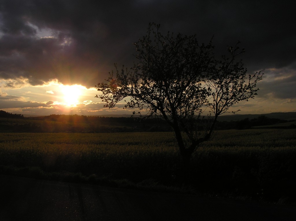 img00032.jpg