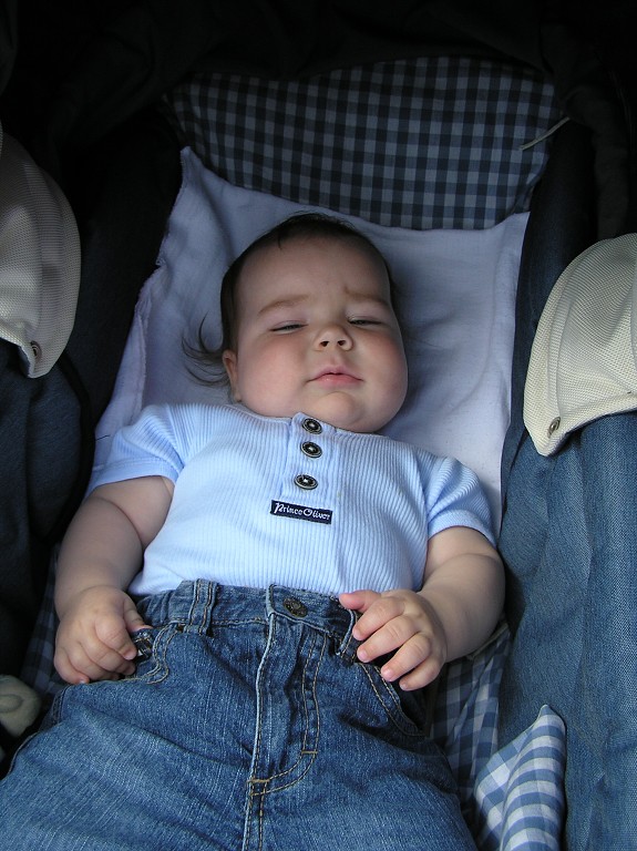 img00036.jpg