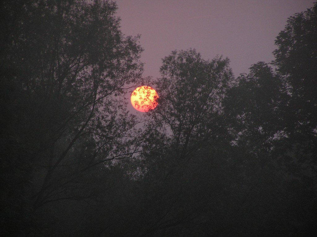 img00043.jpg