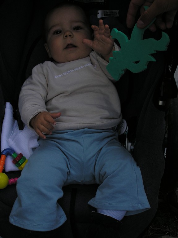 img00049.jpg