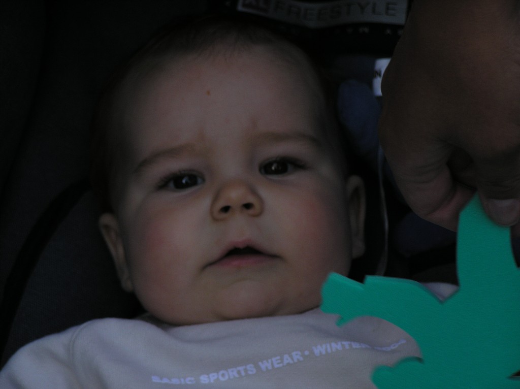 img00050.jpg
