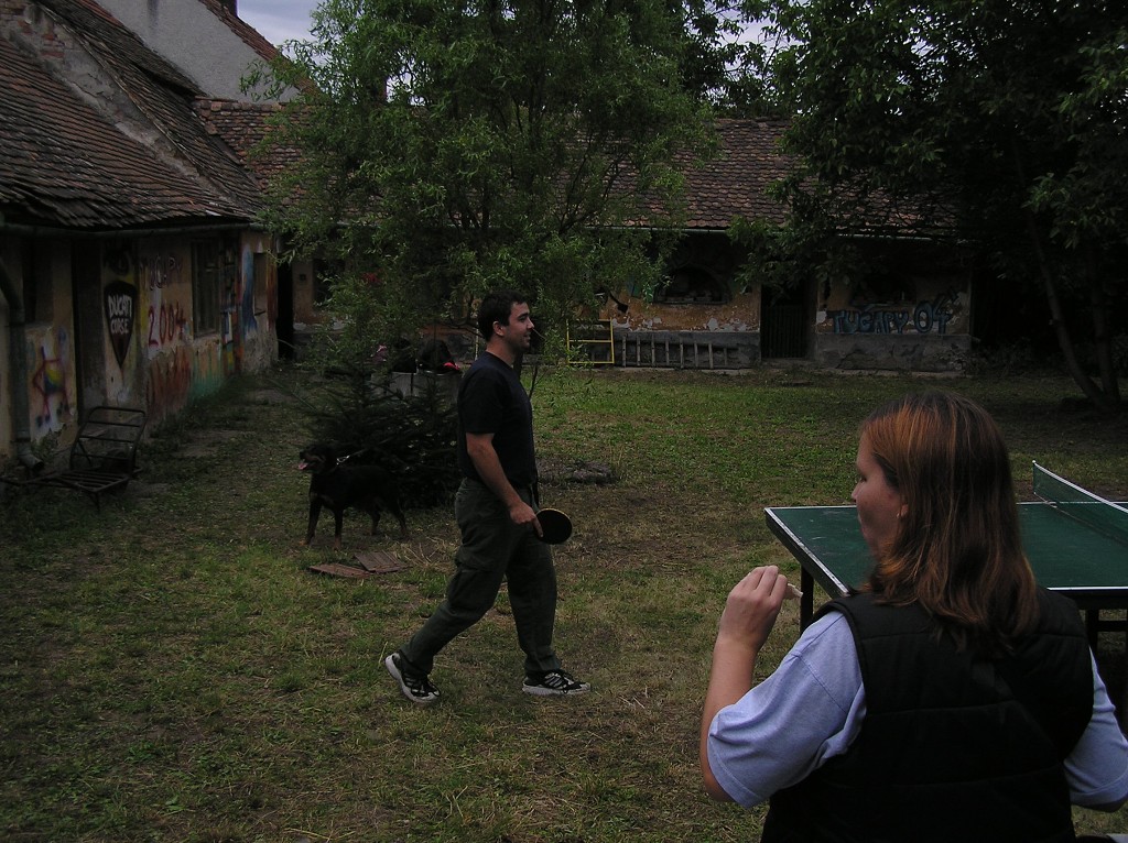 img00051.jpg