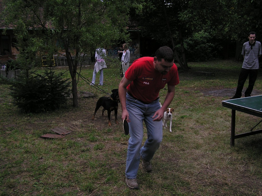 img00052.jpg