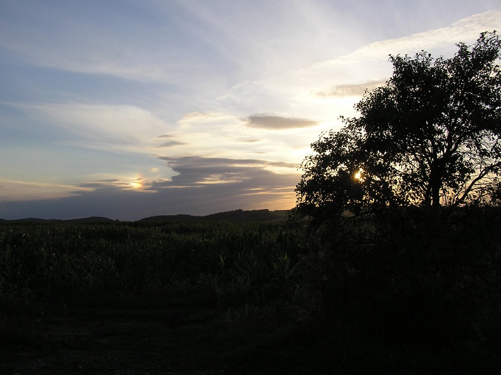 img00056.jpg