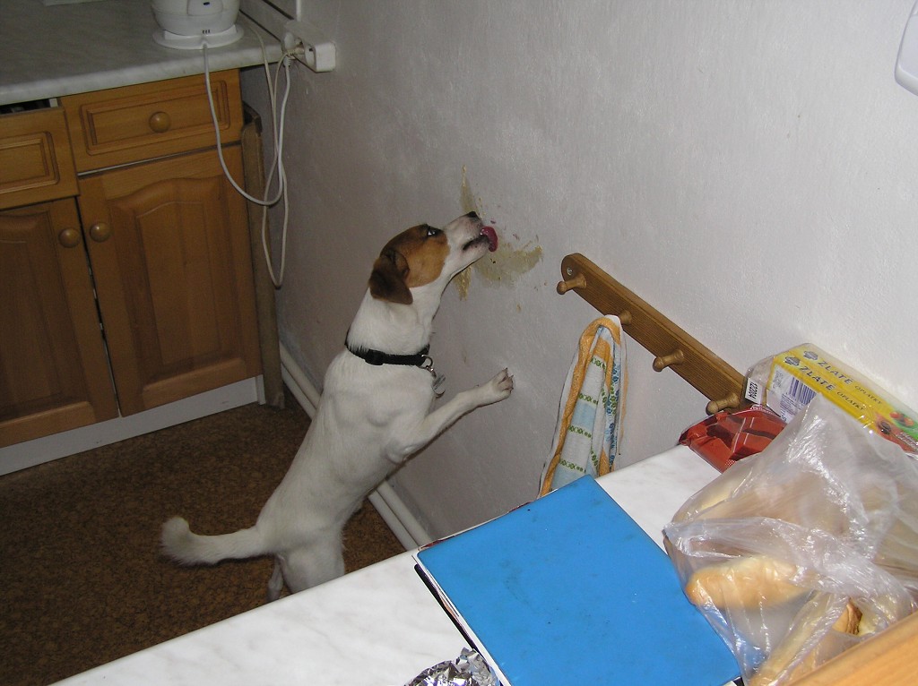 img00063.jpg