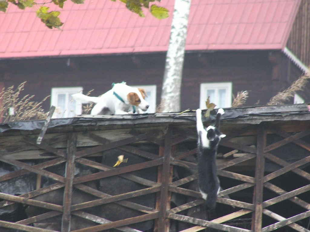 img00001.jpg