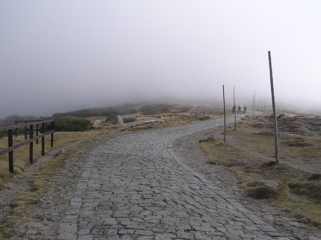 img00005.jpg