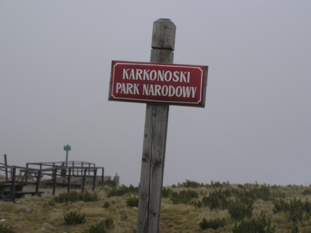 img00006.jpg