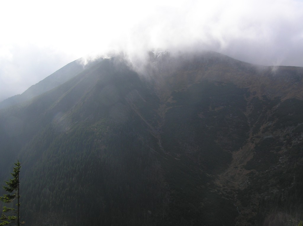 img00009.jpg