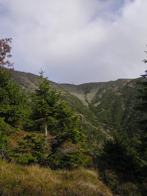 img00011.jpg