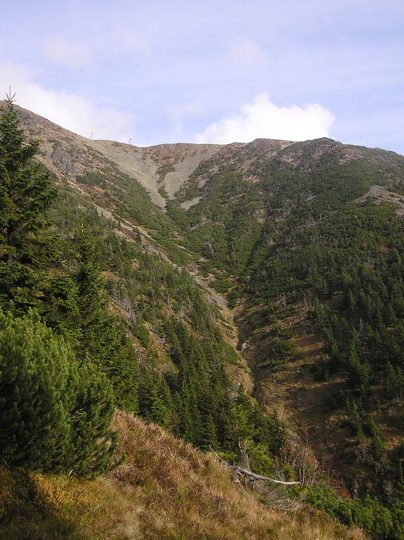 img00012.jpg