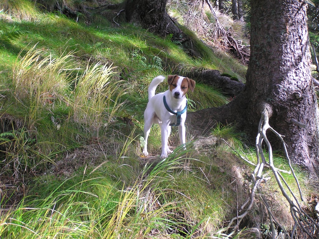 img00015.jpg