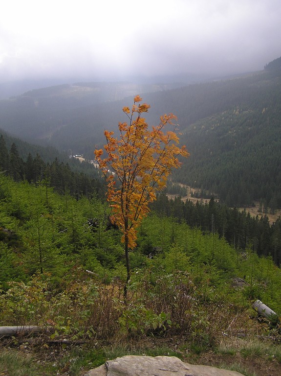 img00016.jpg