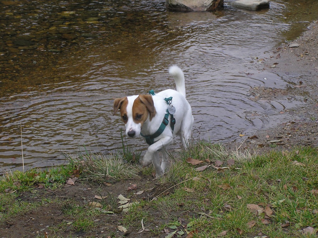 img00017.jpg