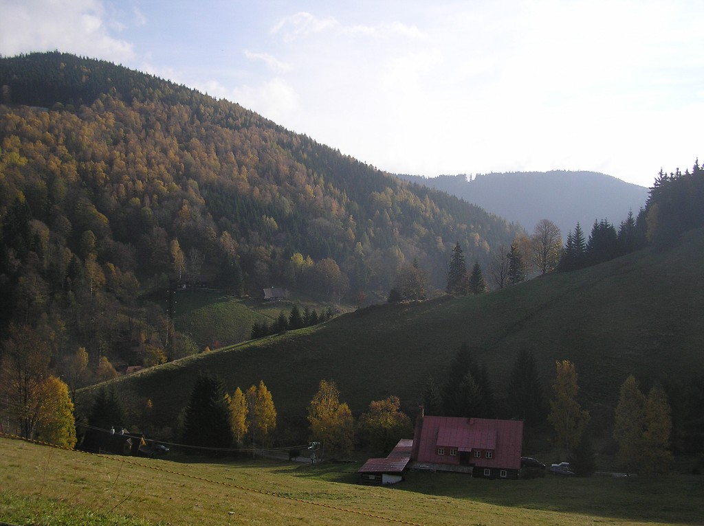 img00026.jpg