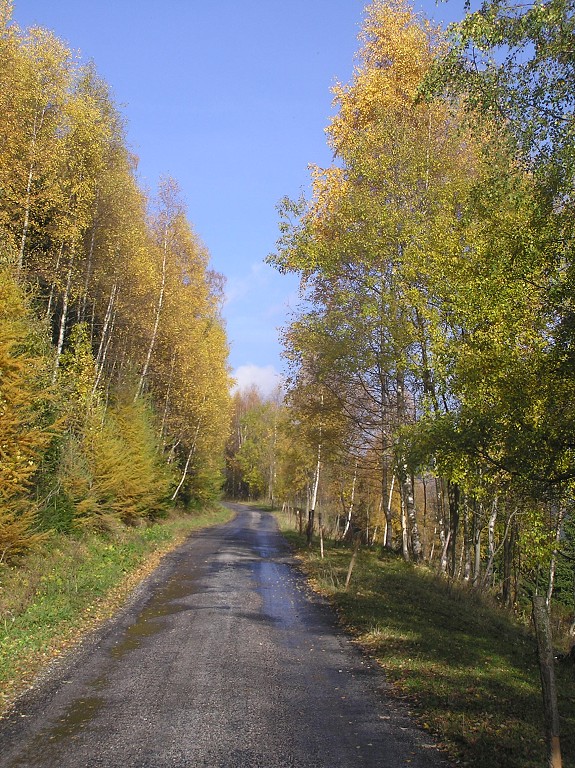 img00028.jpg