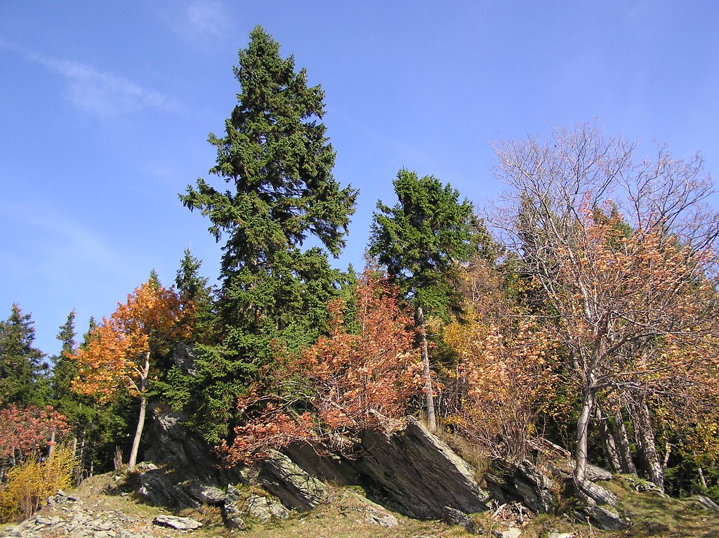 img00034.jpg
