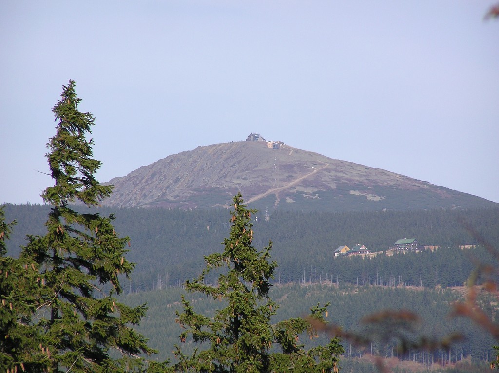 img00037.jpg