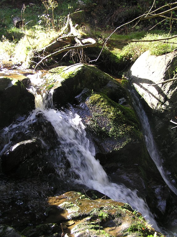 img00038.jpg