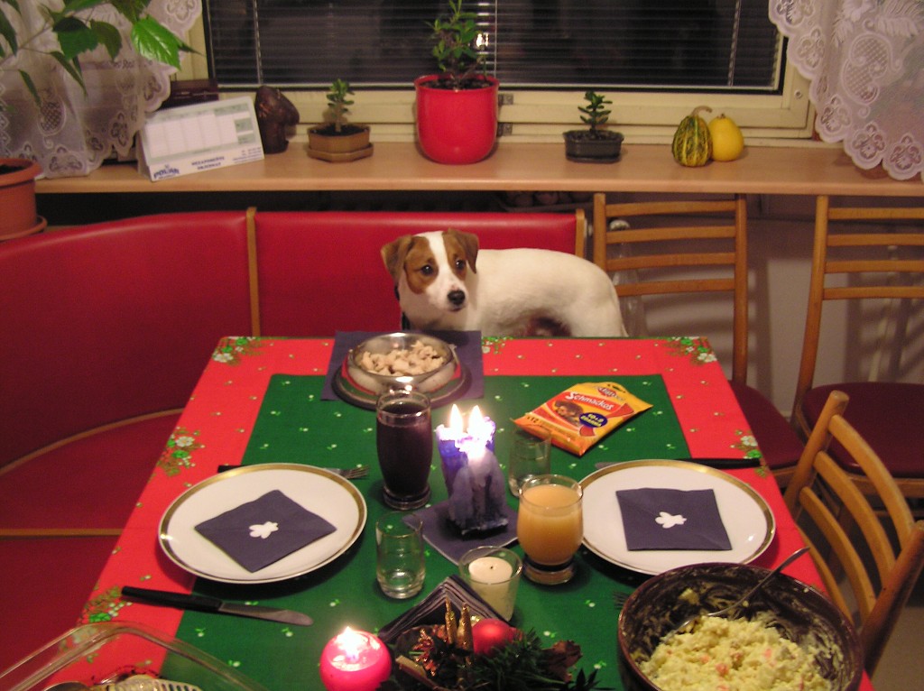 img00005.jpg