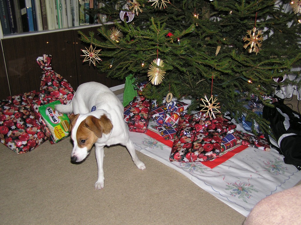 img00008.jpg