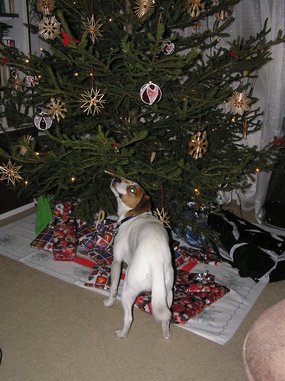 img00009.jpg