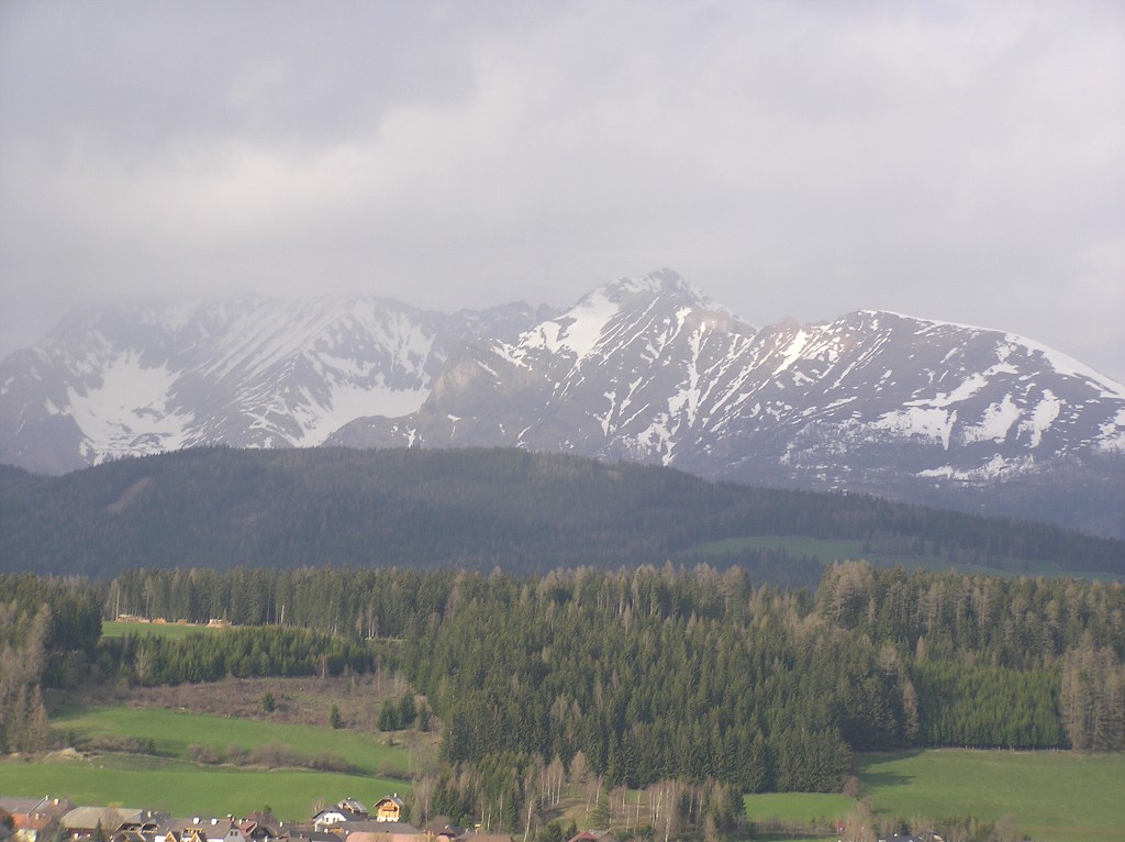 img00014.jpg
