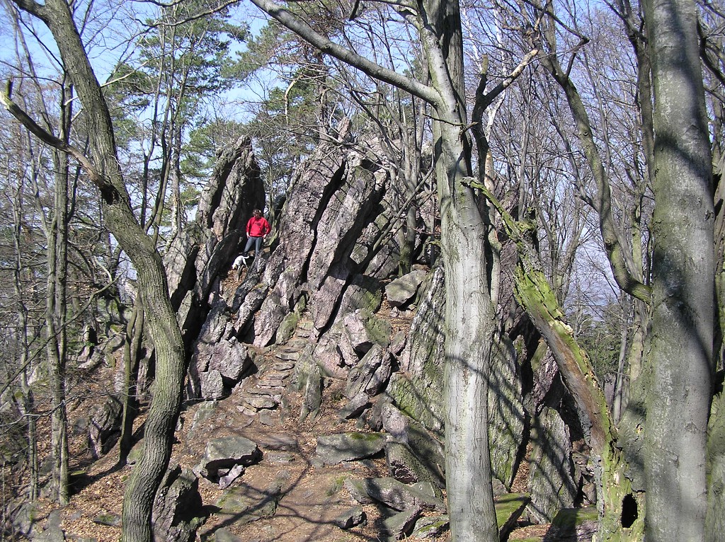 img00001.jpg