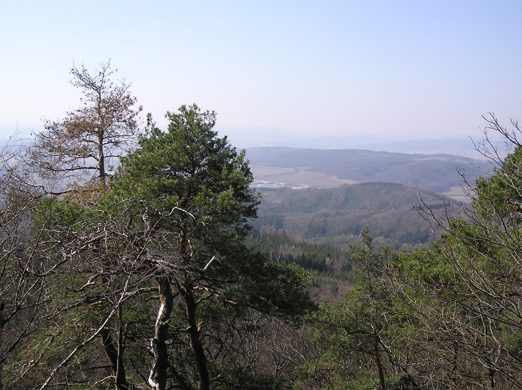 img00002.jpg