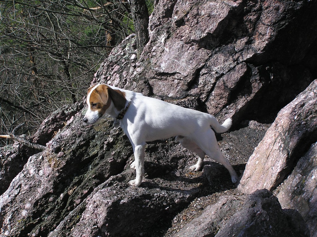 img00004.jpg
