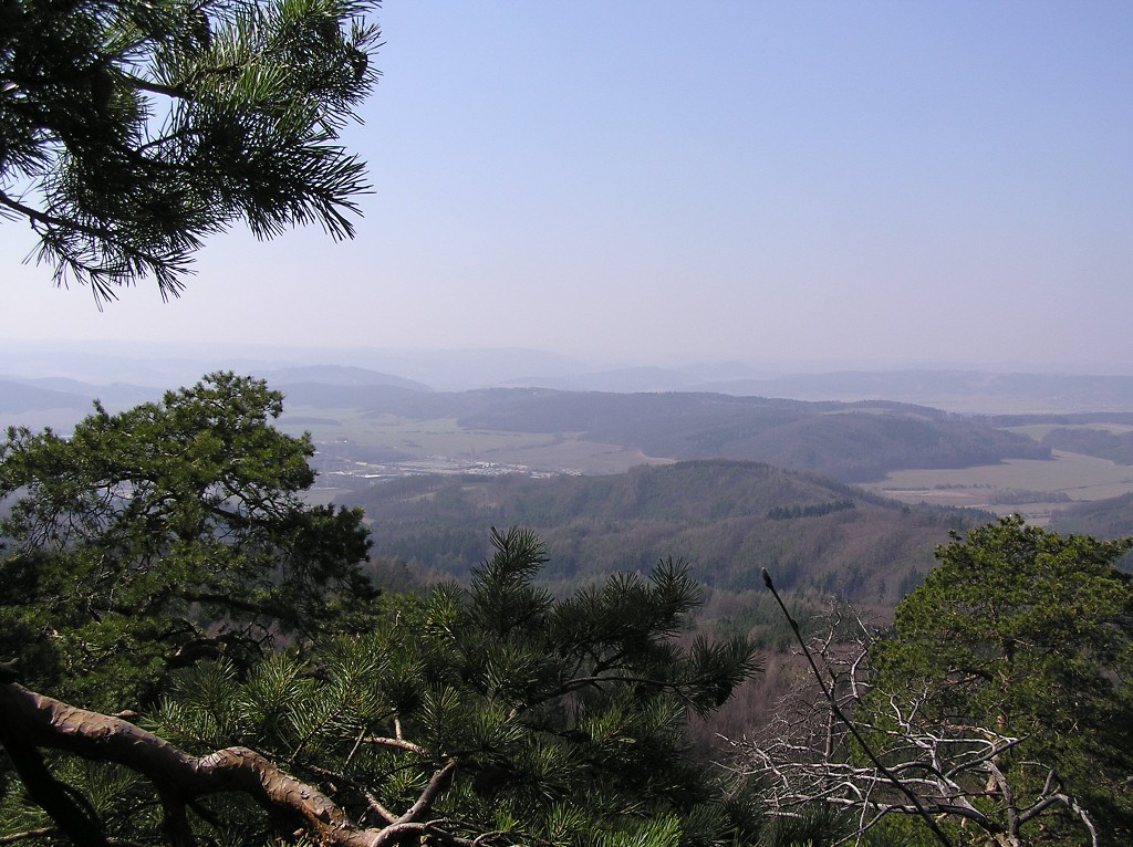 img00006.jpg