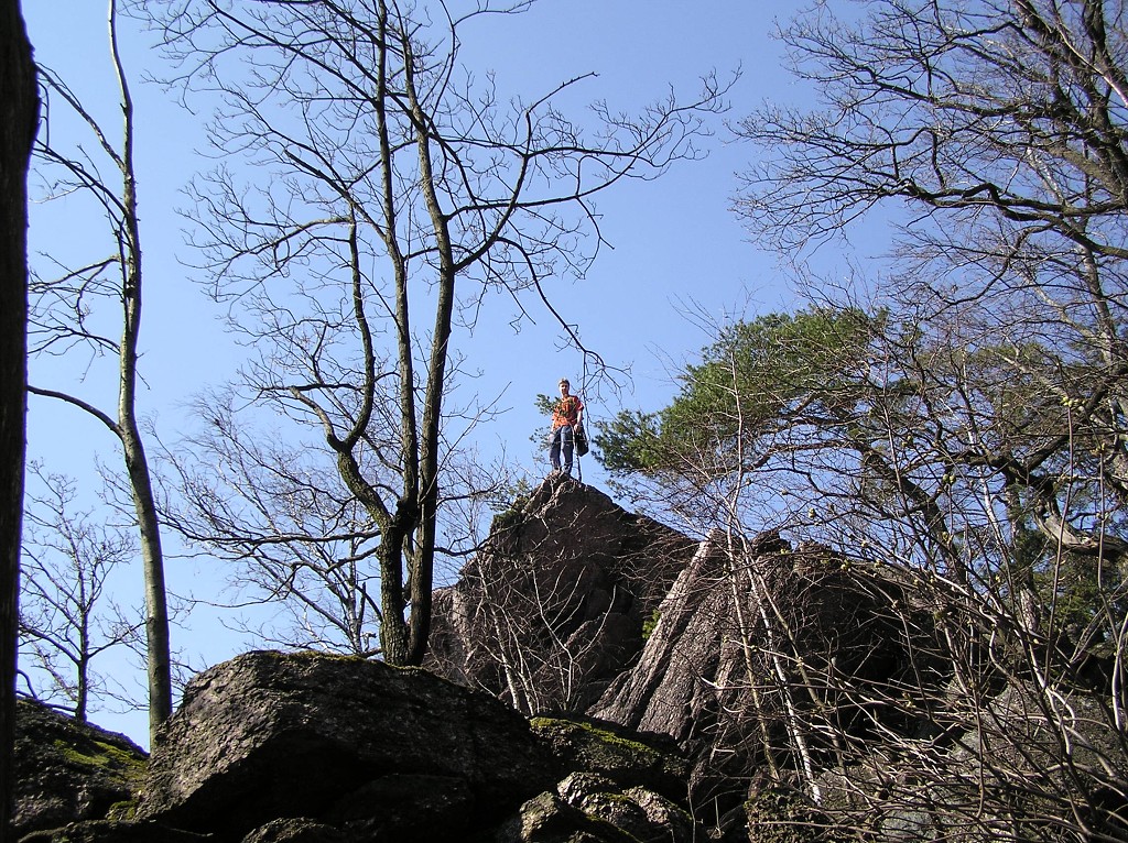 img00009.jpg
