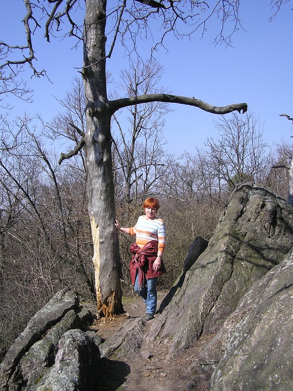 img00011.jpg
