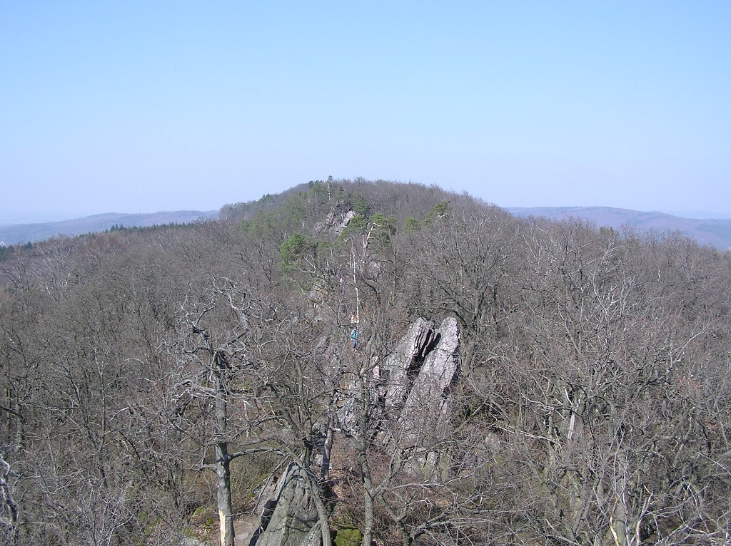 img00012.jpg