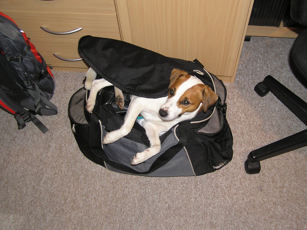 img00006.jpg