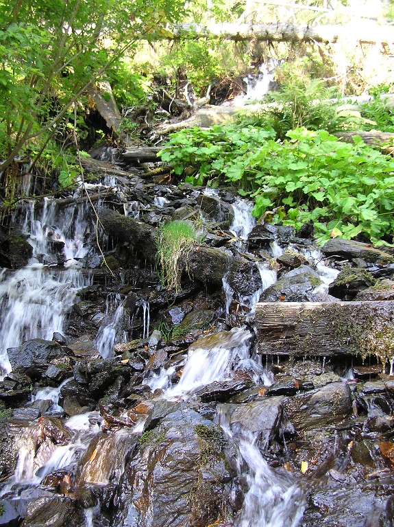 img00019.jpg
