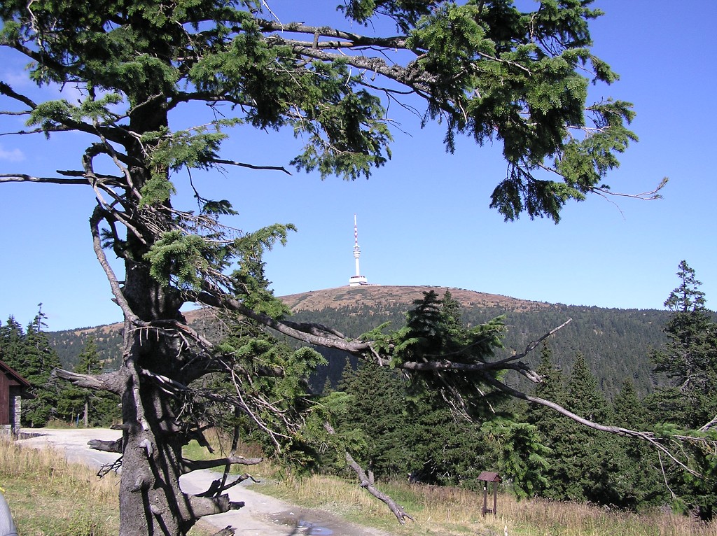 img00034.jpg