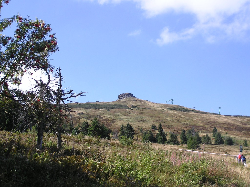 img00035.jpg