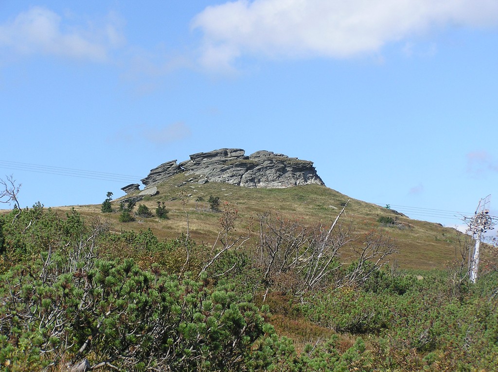 img00042.jpg