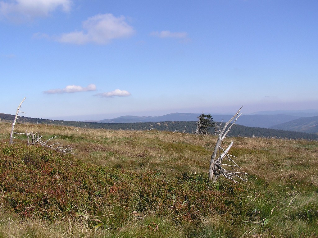 img00045.jpg