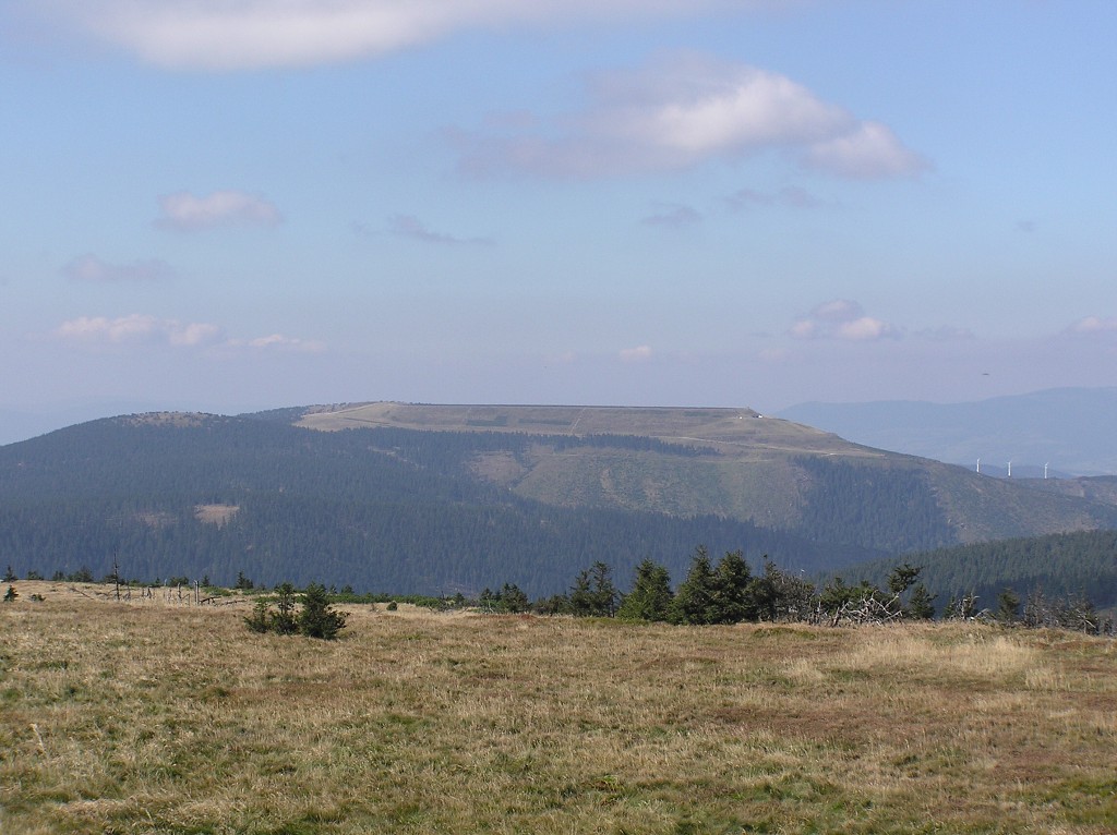 img00049.jpg