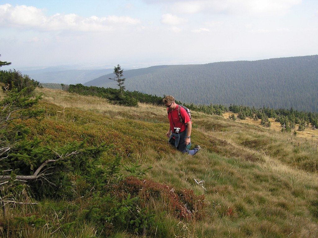img00065.jpg